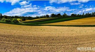 Fertile Agricultural Land Kundam Jabalpur