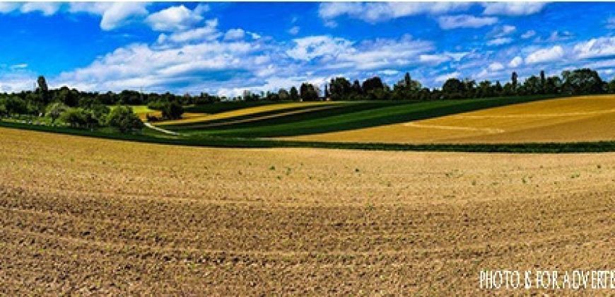 Fertile Agricultural Land Kundam Jabalpur